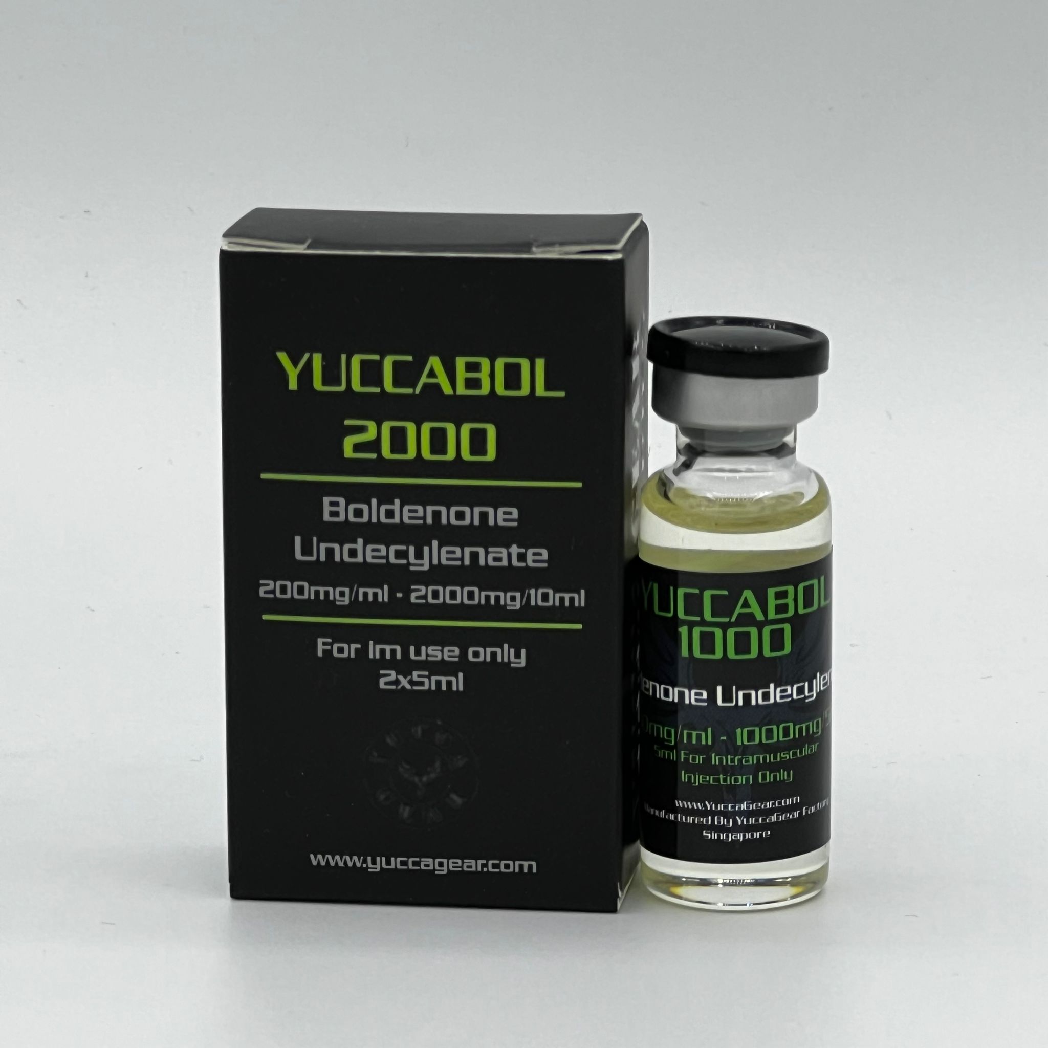 YUCCABOL 2000